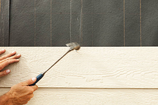 Best Stucco Siding  in Langdon, ND